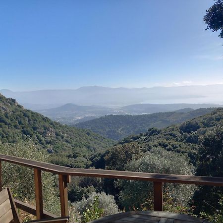 Villa A Croce Alata 외부 사진