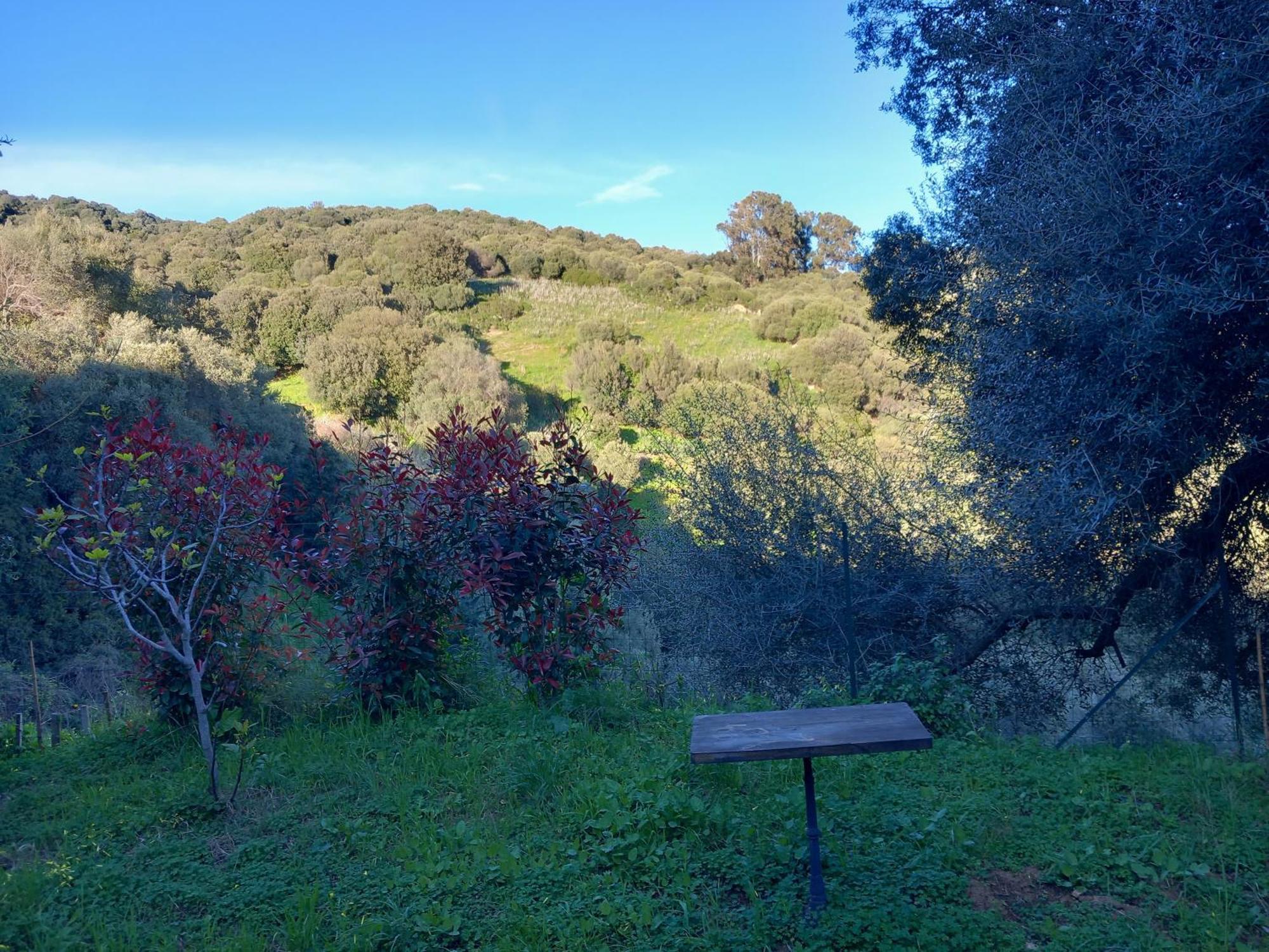 Villa A Croce Alata 외부 사진