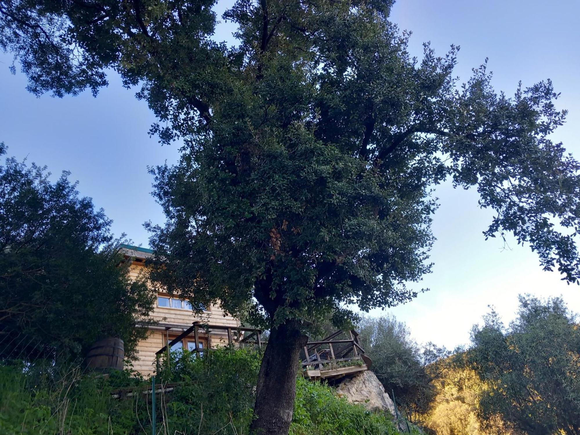 Villa A Croce Alata 외부 사진